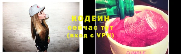 стаф Богородицк
