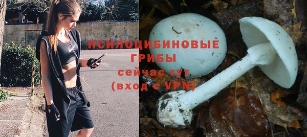 гидропоника Богородск