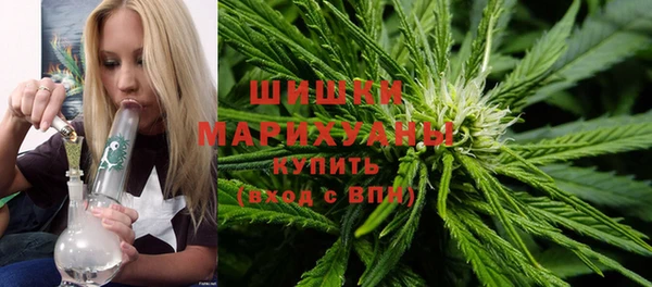 гидропоника Богородск