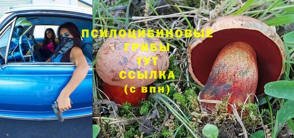 гидропоника Богородск