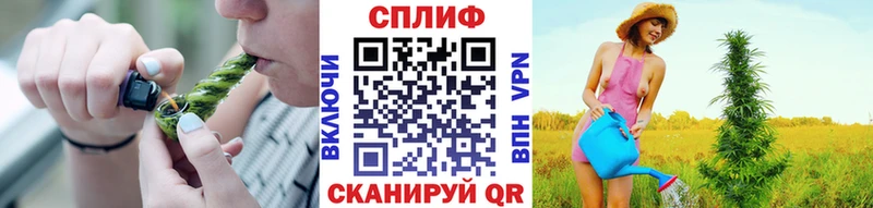Купить  Перевоз  Канабис VHQ 